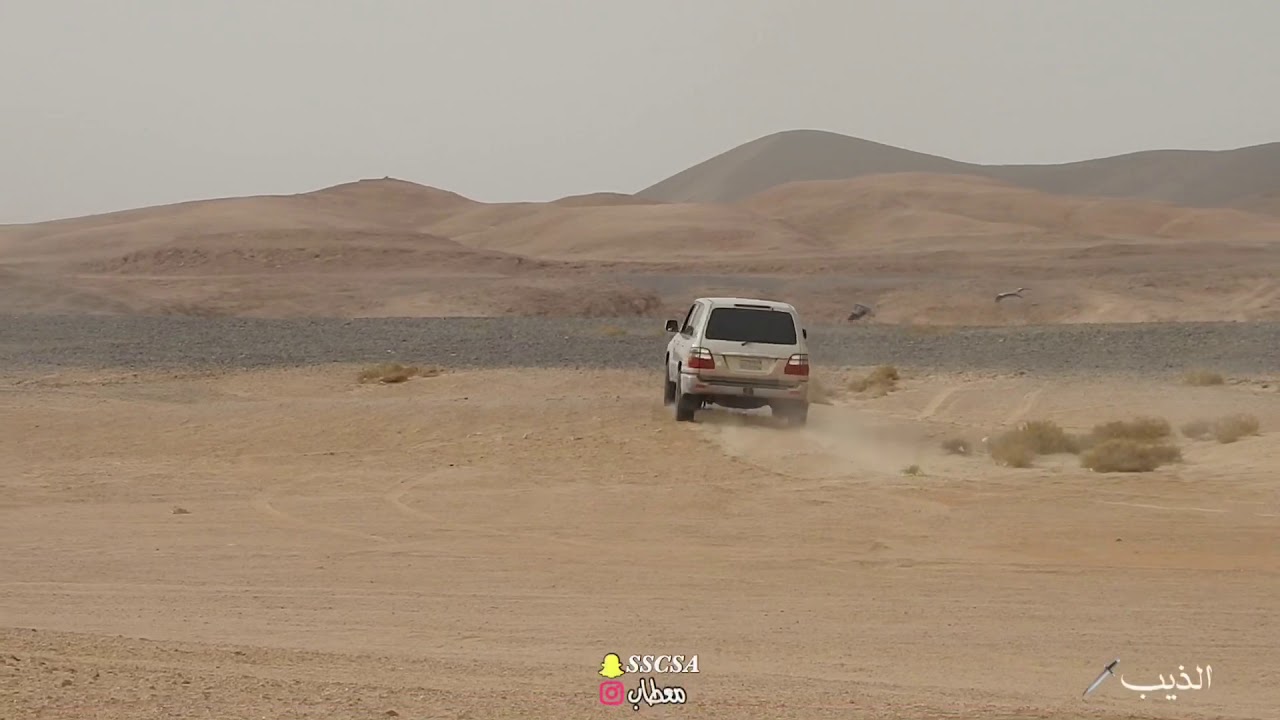 هدد الذيب ٢٦ رمضان ✌🏼 على زرقي