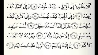 سورة الغاشية القارئ صالح الصاهود