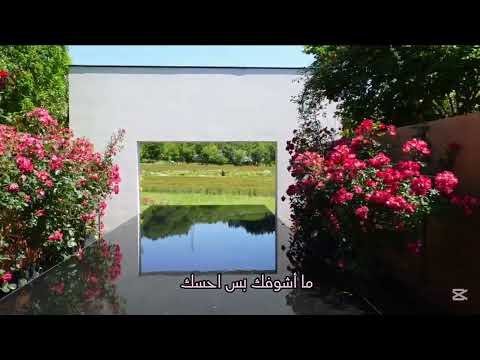 اصرخ اهواك باسم الكربلائي