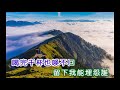 羅賓 是酒也是淚 羅賓 是酒也是淚