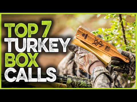 Best Turkey Box Calls 2023 | Top 7 Attractive Box Calls For Turkey Hunting