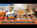 Kalsarp  pitra dosh puja call ashish guruji  7276770047 kaalsarp pitradosha trimbak