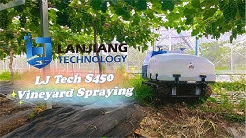 Chinese Intelligent Vineyard Robot for Table Grape