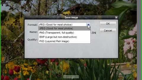 Demo_Pixlr_Video_tutorial
