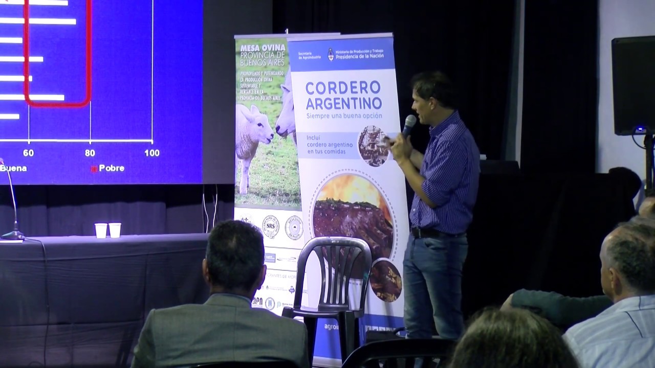 ARGENCARNE AUDITORIO OVINOS (DIA 1) - Juan Mauricio Alvarez