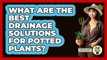 What Are The Best Drainage Solutions For Potted Plants? - The Plant Enthusiast