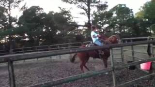 Kalie Breakin A Horse Kalie Breakin A Horse