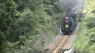 真夏の蒸気機関車D51 200 (2019/8/1)