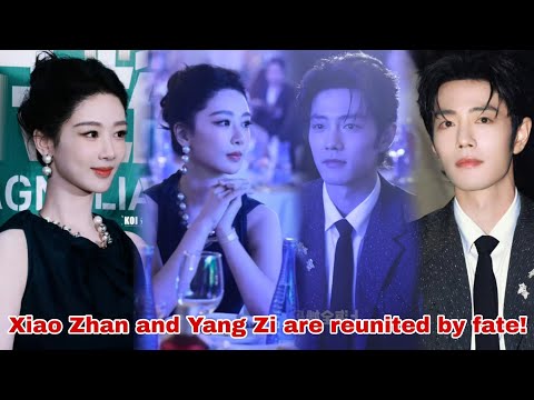 Xiao Zhan and Yang Zi attended the dinner party for 31st Magnolia Awards nominees in Shanghai