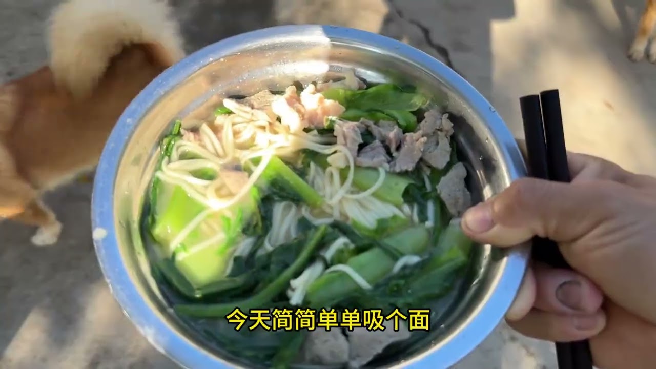 狗子：大老远就认出你了 #农村土狗