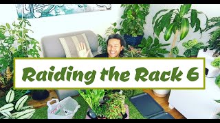 Raiding the Rack 6 - Begonia listada (Striped Begonia) + More...