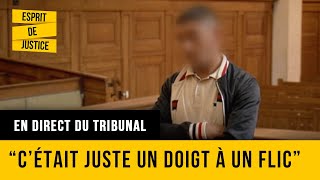 "Ils l'ont cherché " - Outrage à agent - En direct du tribunal : Chalon-sur-Saône 2 - Documentaire