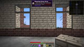 Forgecraft 2 Season 3 Episode 8 : Empty Wing