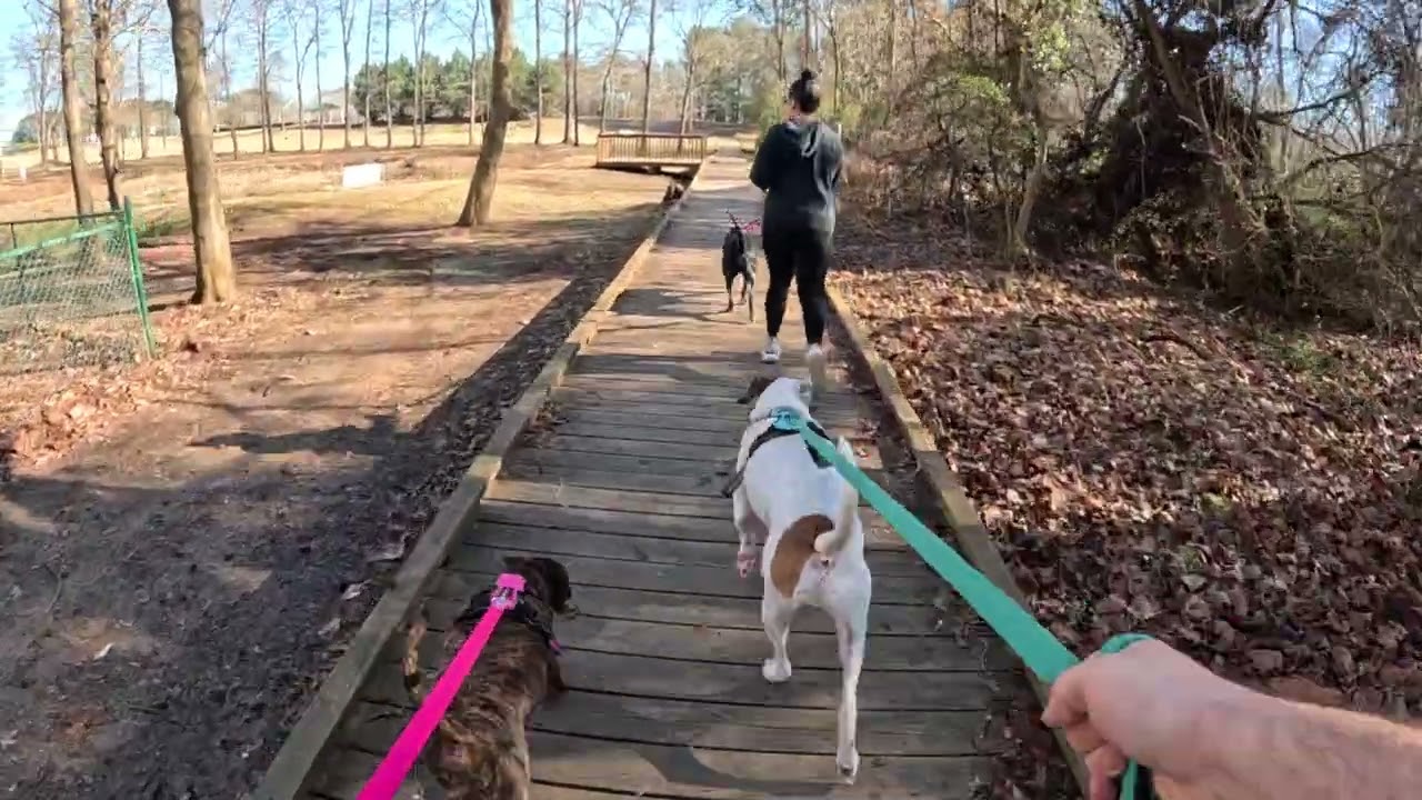 A day in the park ￼