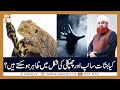 Watch Sanp Aur Chipkali Ko Marte Waqt Us Say Kia Puchna Chaye? | Mufti Akmal | ARY Qtv Online In HD