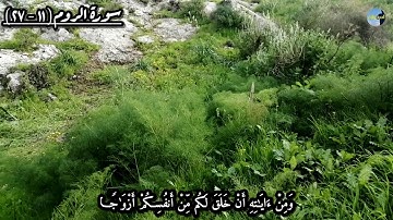 تلاوة رائعة من سورة الروم للشيخ عبدالله الموسى
