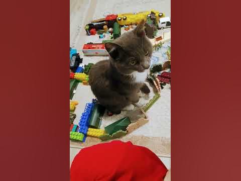 Я был на мультьке троли 3 часть троли - YouTube