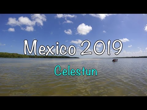 Mexico 2019 // Celestun // Travel Diary 5