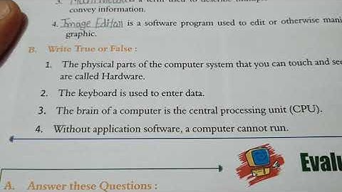 Computer class 3 chapter 2 true and false
