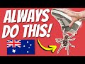 10 Things You Need To Know Before Coming To Australia