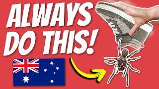 10 Things You Need To Know Before Coming To Australia