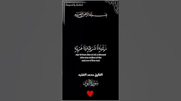 قران كريم شاشة سوداء الشيخ محمد الفقيه تلاوة خاشعة من سورة النور #قرآن #قران #اجر #القرآن