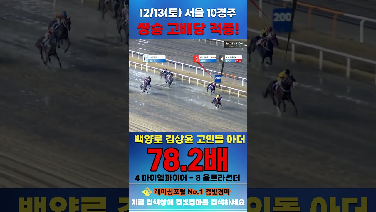 [서울 경마] 12월 13일 토요 10경주 백양로 김상윤 고인돌 아더 전문위원 쌍승 고배당 적중 #경마 #한국마사회 #하이라이트 #고배당 #검빛 #코리아
