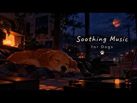 ✨ Magical Sleep Music for Dogs – Sweet Dreams Tonight