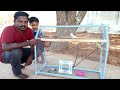 How to make Bird Cage 🐦 with PVC | குறைந்த செலவில் ஈசியா செய்யலாம் | Mister Black
