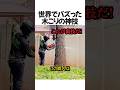 世界でバズった木こりの神技#shorts