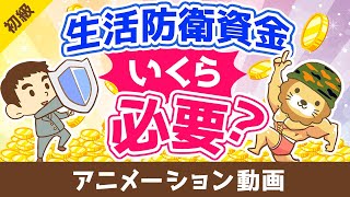 生活防衛資金はいくら貯めれば良いか？【お金の勉強 初級編】：（アニメ動画）第419回