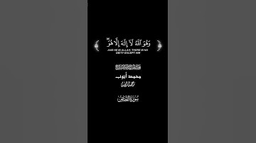 و هو الله لا إله إلاّ هو #قرآن #سورة_القصص #القارئ #محمد_ايوب #تلاوة_خاشعة #كرومات #اكسبلور #لايك