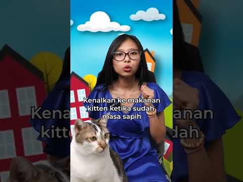 Video: Cara Merawat Penampilan Kucing (Grooming): 12 Langkah