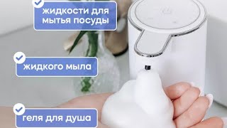 :        ANNO DANINI