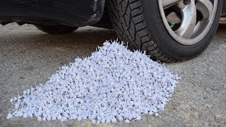 EXPERIMENT 20000 SNAPPERS FIRECRACKERS vs CAR