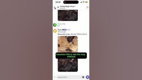 C. elegans Chunking Basics & Dauer formations???