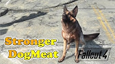 Fallout 4 フォールアウト４ 04 ドッグミート G Youtube