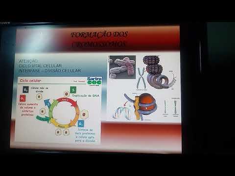 aula-de-biologia-(núcleo-celular|parte-1)---3ª-série-e.m.---professor-ronaldo-costa