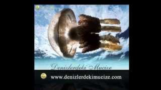 Download lagu Yaratılış ve Bilim Konulu Siteler Yaratılış ve Bilim Konulu Siteler