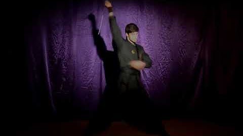 Biểu diễn côn nhị khúc chuyên nghiệp