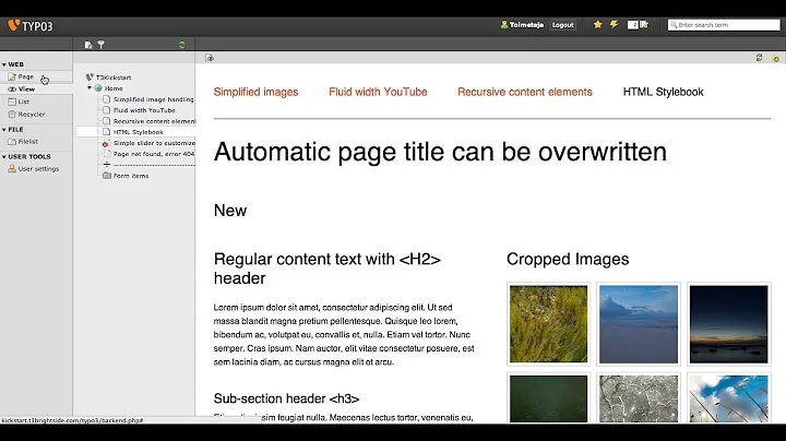 Gridelements in TYPO3 action