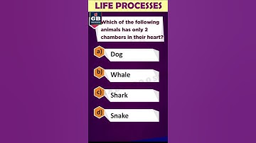 #LifeProcesses CBSE 10th Science Biology Term-1 |Most important questions |MCQ