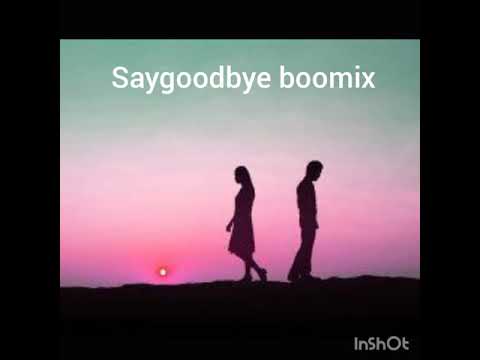 saygoodbye boomix song