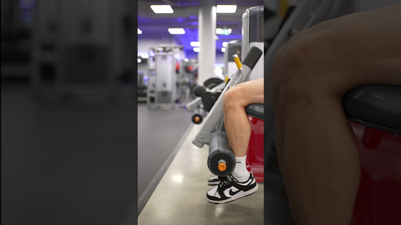  The Perfect Leg Extension