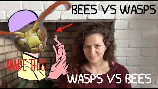 Bees vs  Wasps (How to Tell the Difference!)