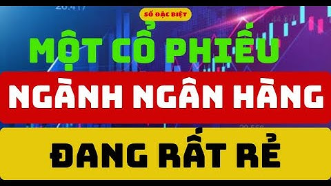 Phân tích cổ phiếu:  Một Cổ Phiếu Ngành Ngân Hàng Đang Rất Rẻ  I Bảo ITP