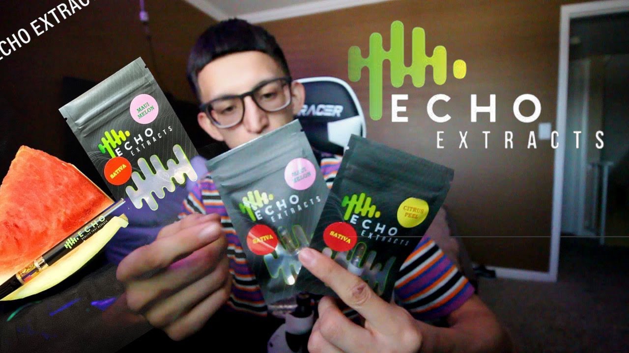 Echo Extracts Maui Melon Strain Review YouTube