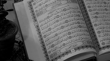 سورة البلد - الشيخ محمد هيثم منيني رحمه الله
