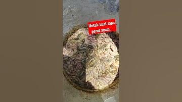 Misi membuat tapa kapas untuk memancing baung ...#shorts