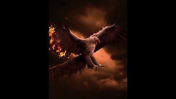 Creating art of a Phoenix, with Photoshop | Speed ​​Art | Image manipulation